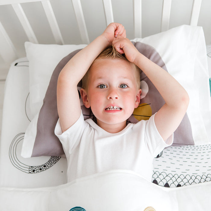 2-pack Seal Standard Size Pillowcases - Nature Baby Outfitter