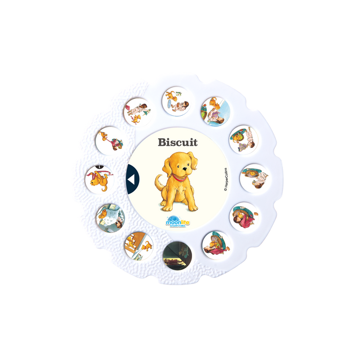 Biscuit