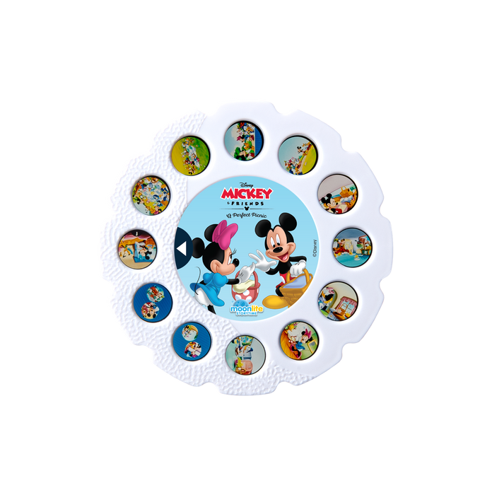 Disney Mickey & Friends: A Perfect Picnic