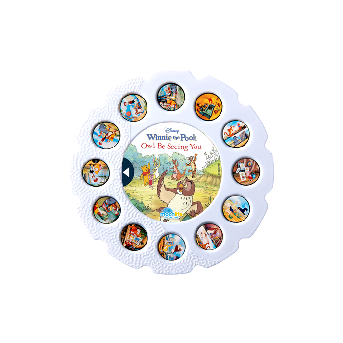 Disney Winnie the Pooh: Owl Be Seeing You