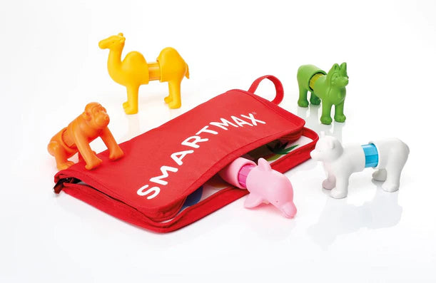 My First Animals Around the World Magnetic STEM Set