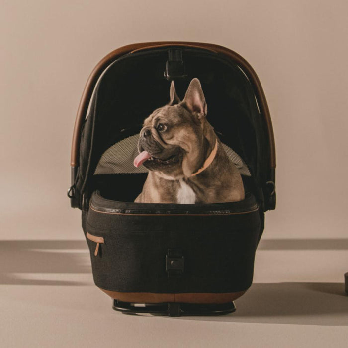 Maeve Pet Car Seat