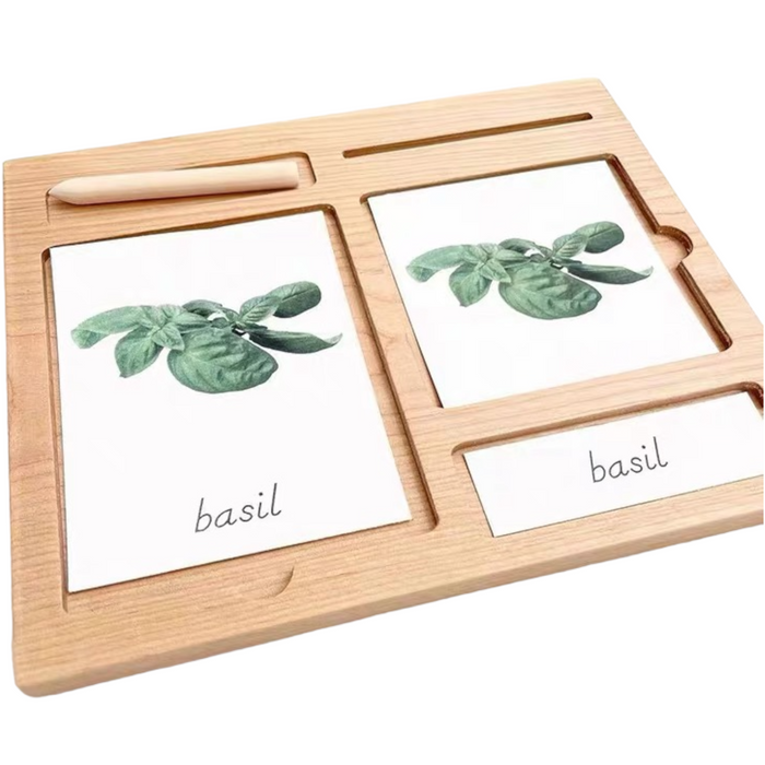 Wooden 3-Part Educational Activity & Sand Tray with Card Slot and Wooden Pe