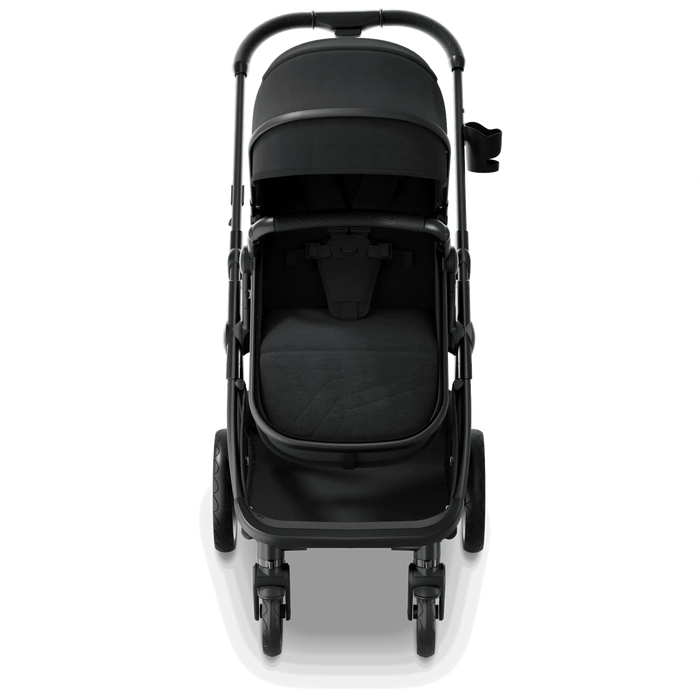 Mompush Wiz