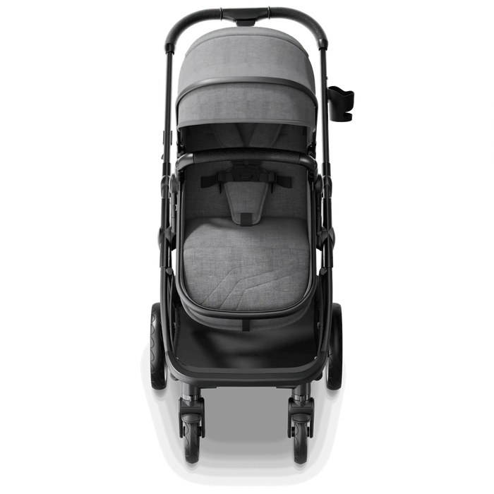 Mompush Wiz