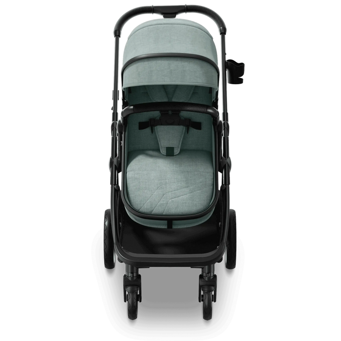 Mompush Wiz