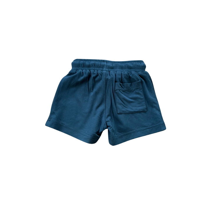 Navy Everyday Shorts