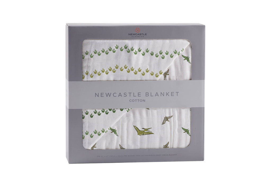 Dino Feet and Pteranodon Newcastle Blanket