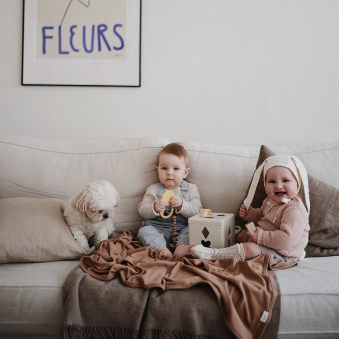 Lion Teether - Nature Baby Outfitter