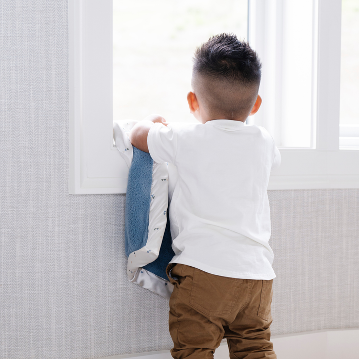 Sea Glass SATIN BORDER MINI BLANKETS