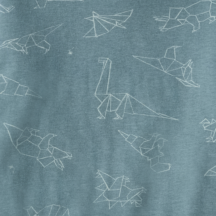Origami Dinos Boy Tee & Shorts Set