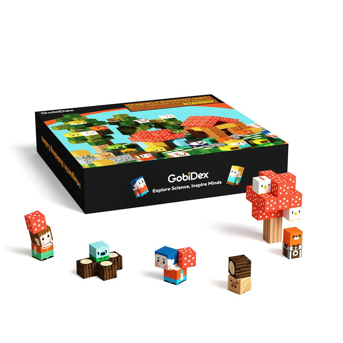 Hilltop Hamlet - 100pcsMagnetic Blocks