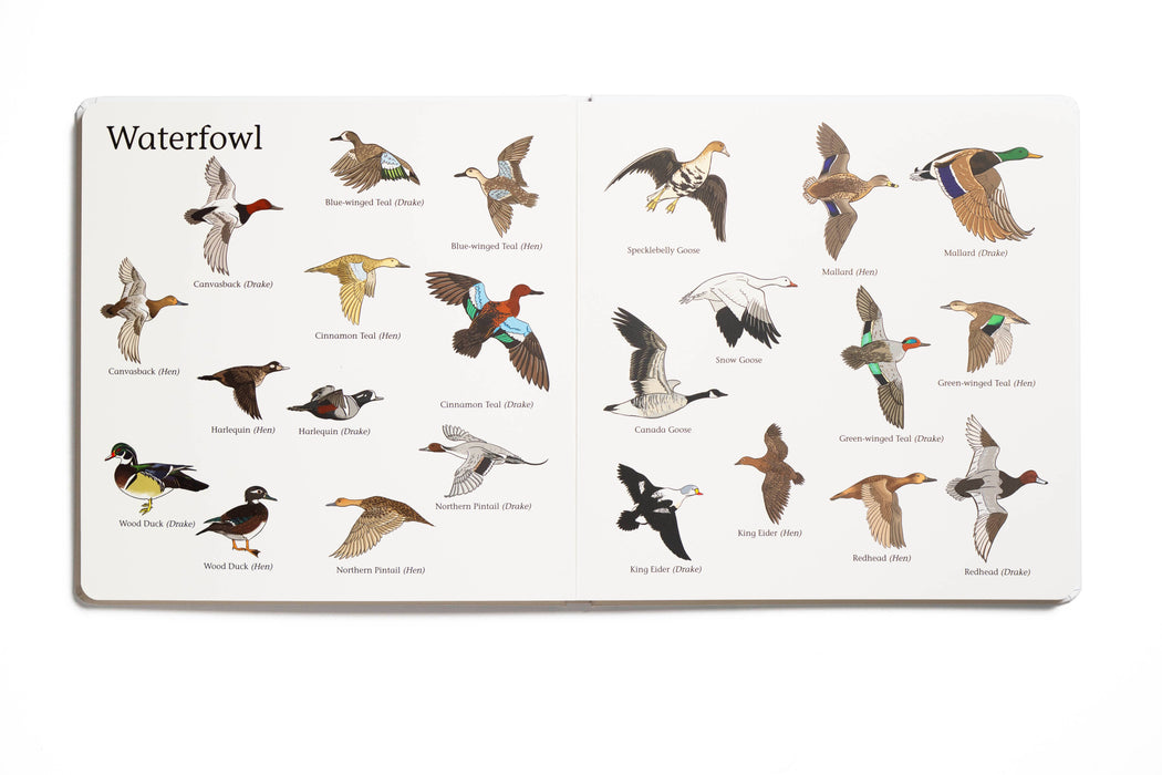 The Big Book of Hunting - Nature Baby Outfitter