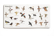 The Big Book of Hunting - Nature Baby Outfitter