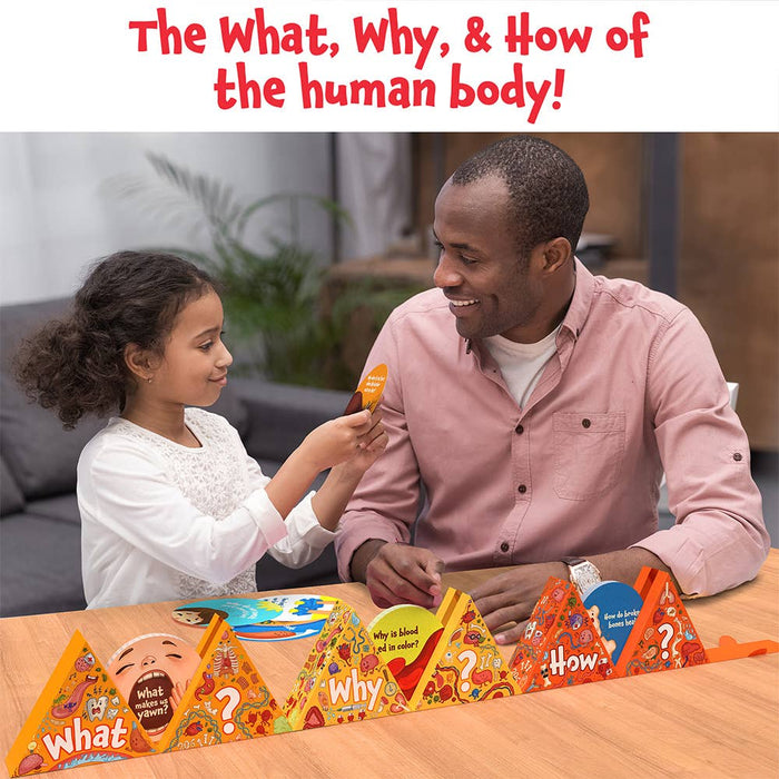 Flash Cards - Science Snippets The Human Body