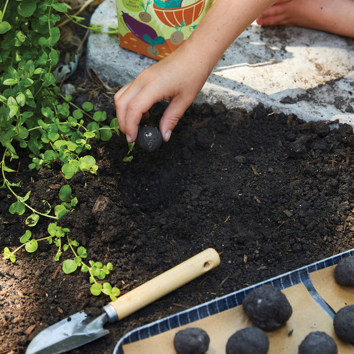 DIY Seed Ball Kit: Wild Habitat Garden