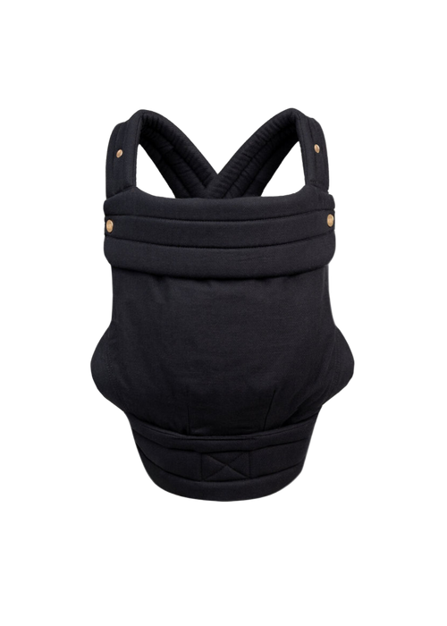 Ebony - The Monarch Carrier