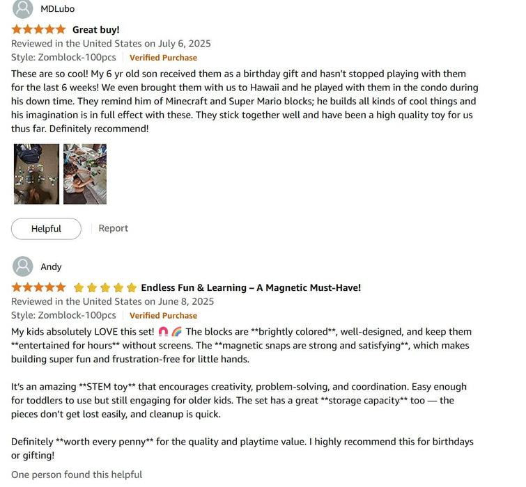 Hilltop Hamlet - 100pcsMagnetic Blocks