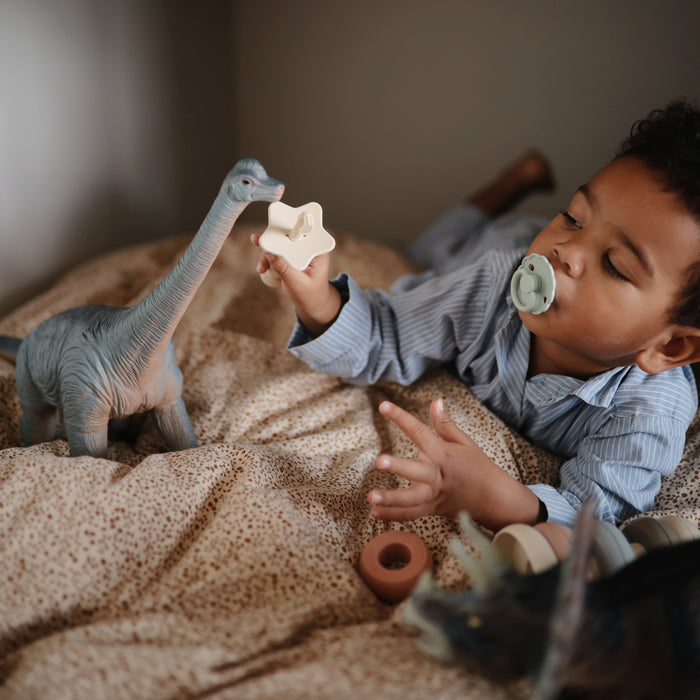 FRIGG Daisy Natural Rubber Pacifier 2-Pack - Nature Baby Outfitter