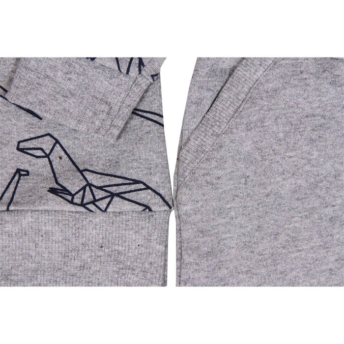 Heathered Grey Dax 2 Piece Dinosaur Set