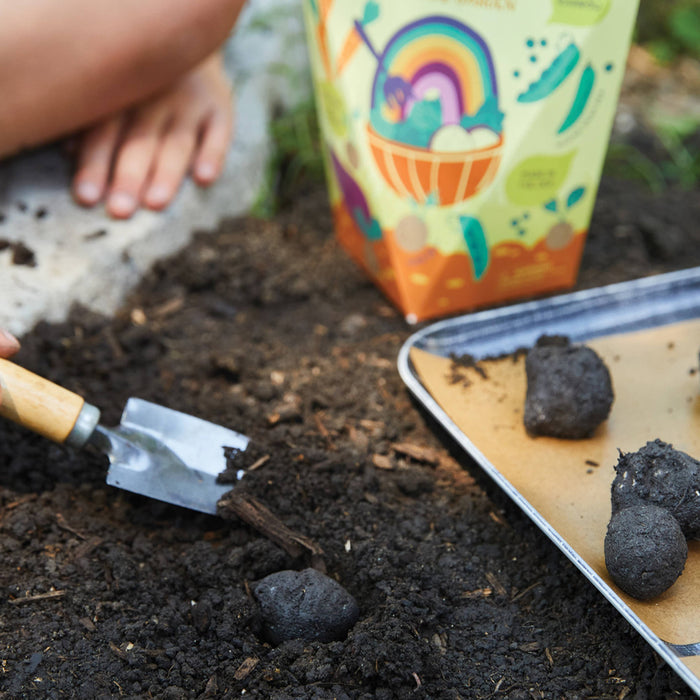 DIY Seed Ball Kit: Wildflower Garden