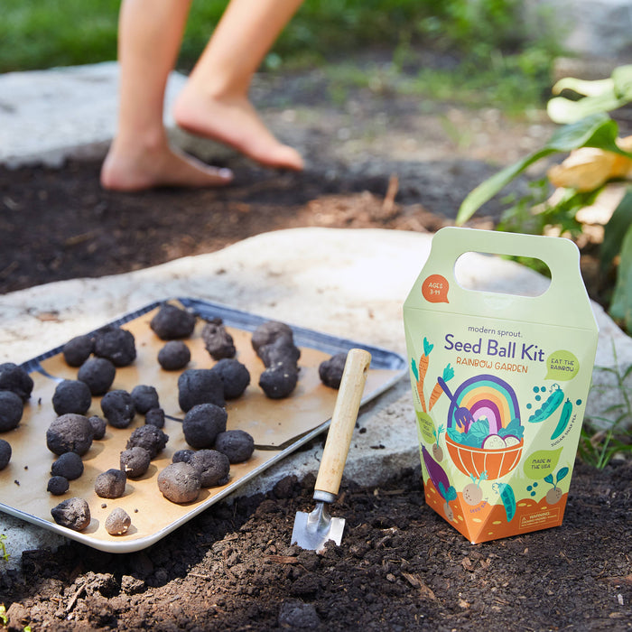DIY Seed Ball Kit: Wild Habitat Garden