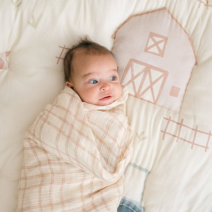 Charlie 2-pc. Farmhouse Goose/Check Swaddle Set