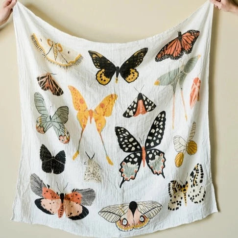 Butterfly Collector Swaddle