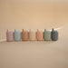 Silicone Sippy Cup - Nature Baby Outfitter