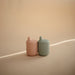 Silicone Sippy Cup - Nature Baby Outfitter