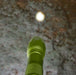 Terra Kids 4-Way Flashlight - Nature Baby Outfitter
