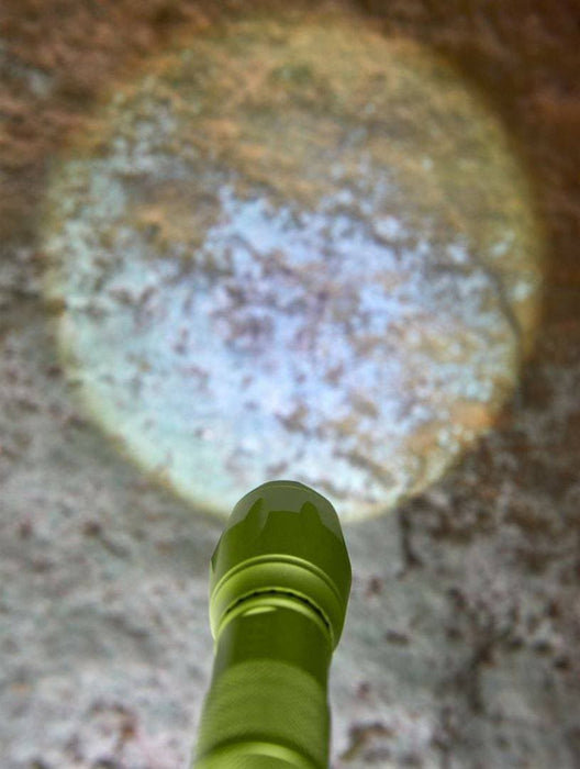 Terra Kids 4-Way Flashlight - Nature Baby Outfitter