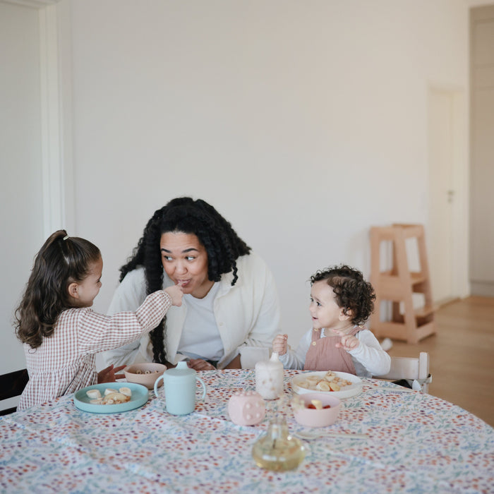 Classic Silicone Suction Plate - Nature Baby Outfitter