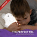 LumiPets® Eggbert the Elephant- Children's Touch Night Light - Nature Baby Outfitter