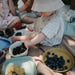 Square Dinnerware Bowls - Nature Baby Outfitter