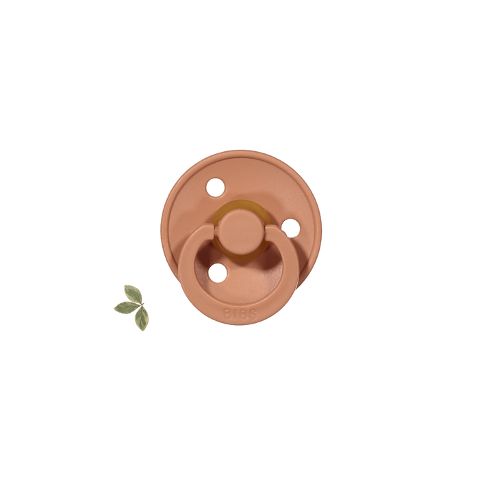 The Bibs Pacifier