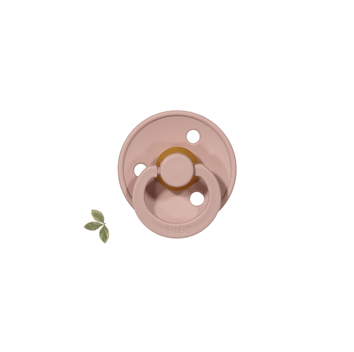 The Bibs Pacifier