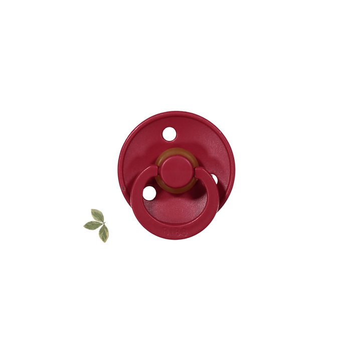 The Bibs Pacifier
