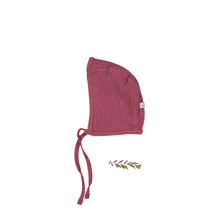 The Bonnet - Raspberry