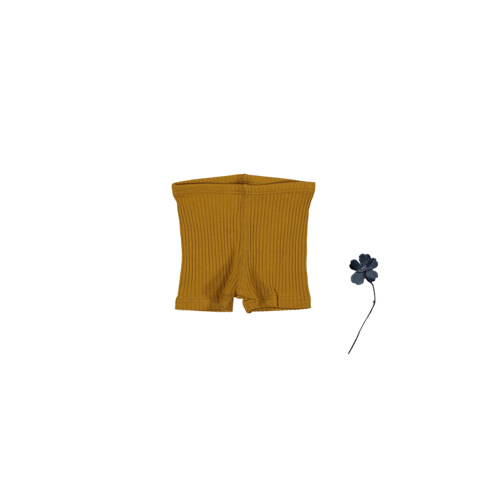 The Short - Cider
