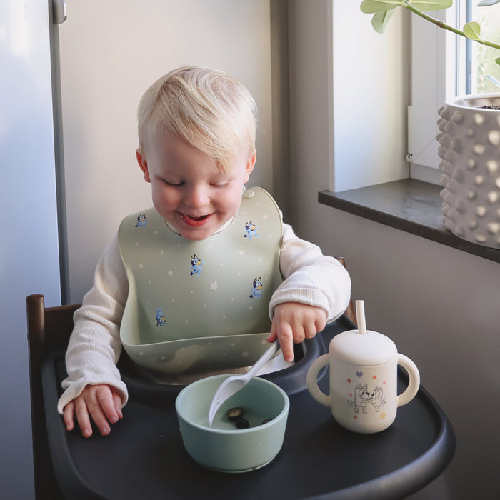 Silicone Suction Bowl - Nature Baby Outfitter