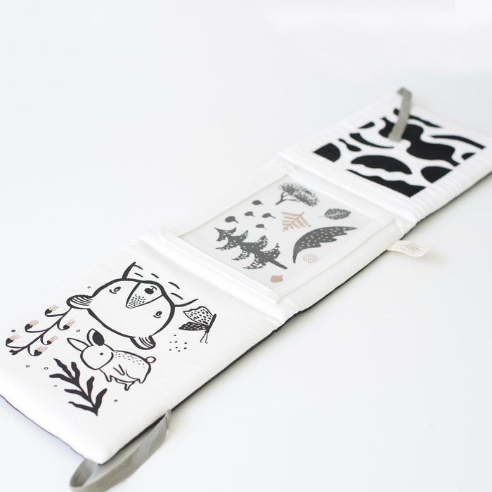 Baby Tummy Time Gallery with Mirror