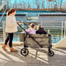 Keenz VIVA 2-Passenger Stroller Wagon – Compact Power for City Life - Nature Baby Outfitter