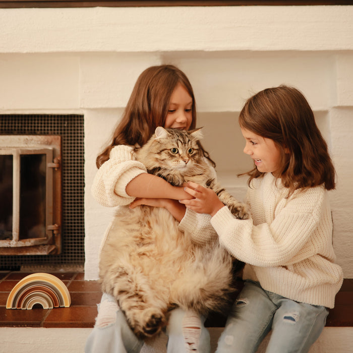 Rainbow Stacker Toy - Nature Baby Outfitter