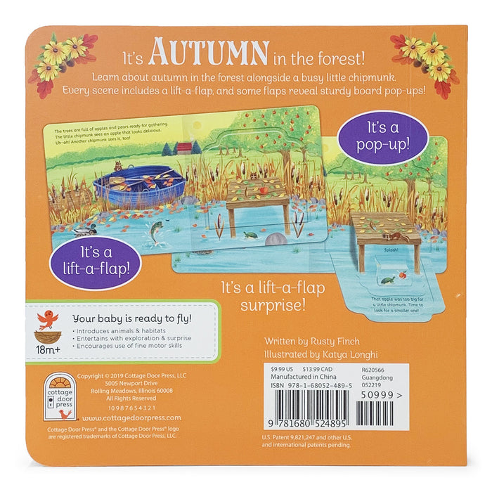 Autumn in the Forest Lift-the-Flap Book