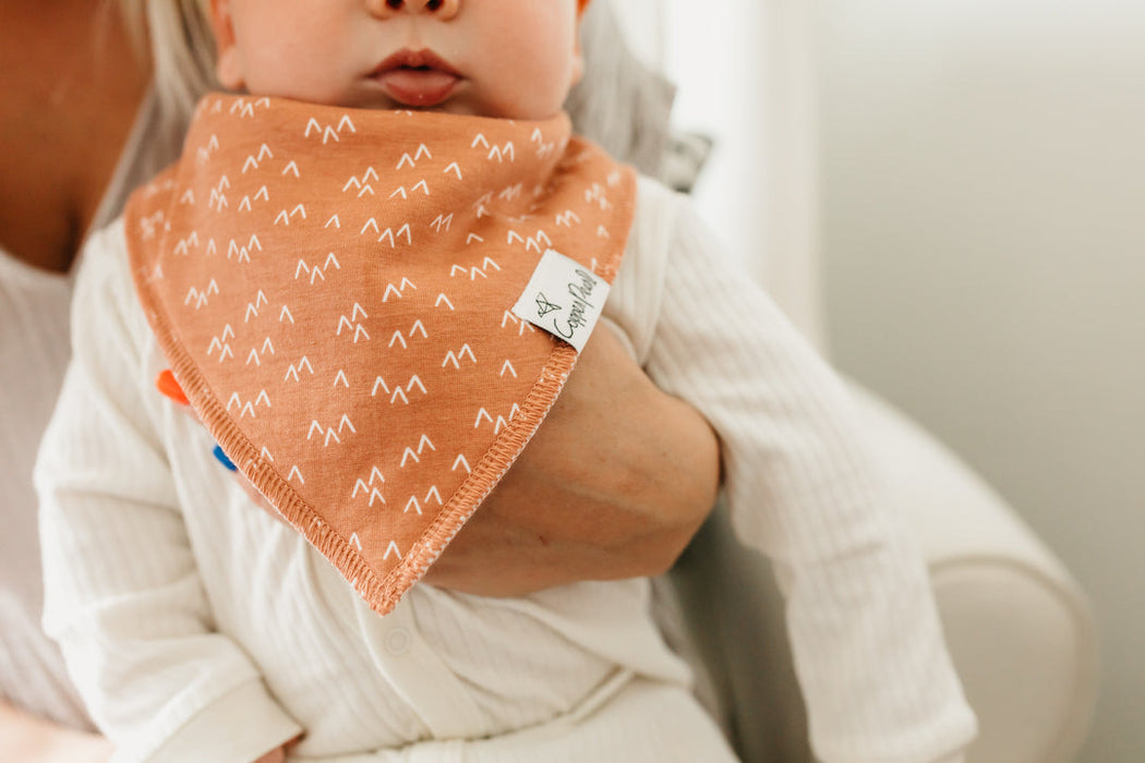 Atwood Baby Bandana Bib Set of 4