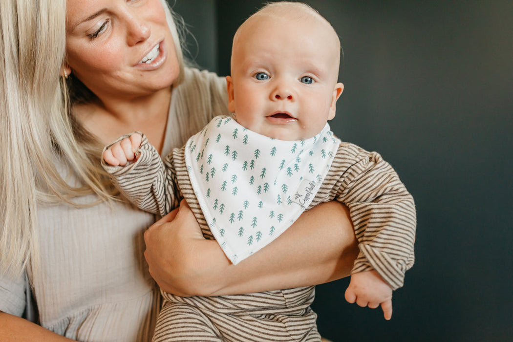 Atwood Baby Bandana Bib Set of 4